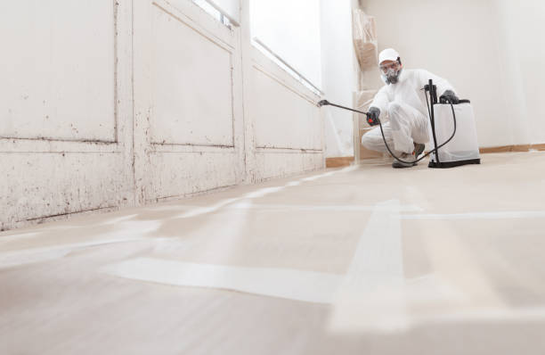Trusted Mold Inspection service in Lowell, MA - WQB Mold Removal