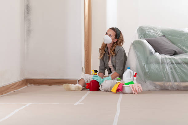 Reliable Mold Inspection contractor in Lowell, MA by WQB Mold Removal
